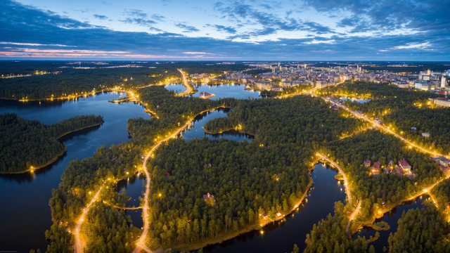 成人国产三级精品