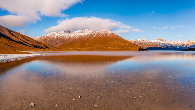 色欲人妻Yy综合成人网站